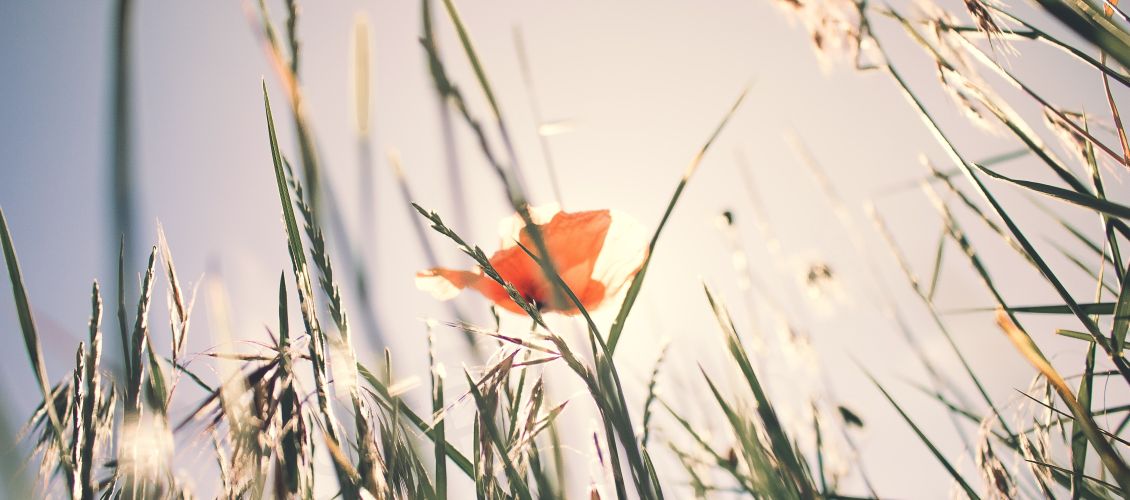 Psychotherapie - Hypnose und Klang Riedstadt